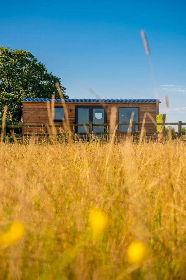 Hotel Abberley Shepherds Hut - Ockeridge Rural Retreats Wichenford Exterior foto